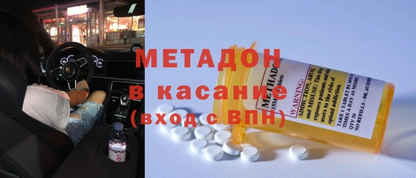 хмурый Аркадак