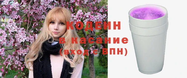 мдпв Осташков