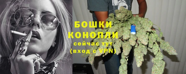 МДПВ Осинники